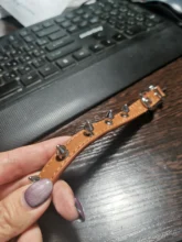 Dog-Collar Spiked Cat Small Chihuahua for Medium Dogs Cool