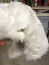 Muñeca de peluche eléctrica para niños, juguete de simulación para cachorros, Perro Robot interactivos inteligentes para caminar