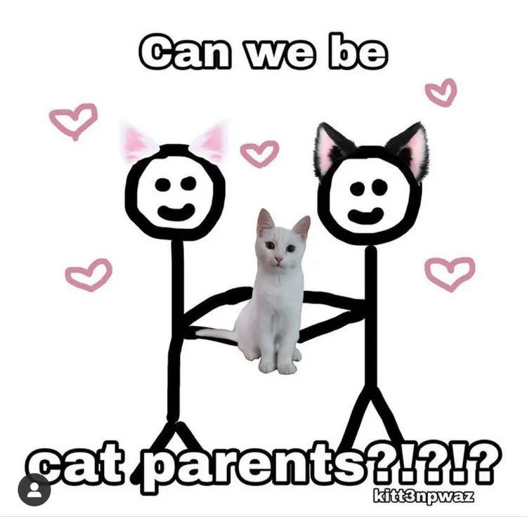 Cat parents. мама кошка и папа кот и котята. земля кошачьего локотка. кошачья семья. котик утешает человека.