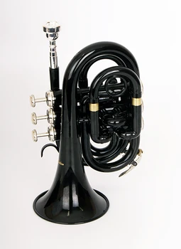 

FLT-PT-BK pipe compact, BB-key, lacquered, color-black. Conductor