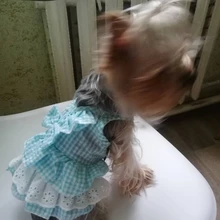 Dress Pet-Clothing Puppy-Cat-Dresses Chihuahua Princess Yorkshire Dogs Small Medium 