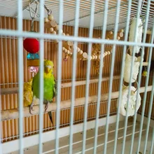 8Pcs/Set Bird Parrot Toys Wooden Hanging Swing Hammock Climbing Ladders Perches