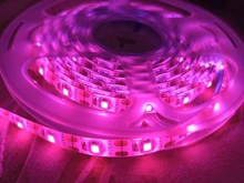 Phyto-Tape Flowers Seed-Plants Grow-Light Greenhouses Strip-0.5m USB Full-Spectrum 2835