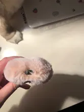 Ear-Fur-Case Capa Carabiner Plush-Cover Apple Airpods Rabbit Soft Wireless for 1-2/Wireless/Charging-fluffy-box