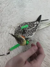 Cuerda de entrenamiento antimordedura para mascotas, Kits de correas ultraligeras, suaves y portátiles, gran oferta