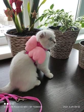 Arnés de nailon pequeño para perros, 10 colores, bonito arnés a prueba de Escape para gatos, conejos, Chihuahua y cachorros