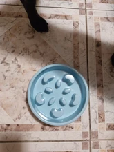 Dog-Bowl Pet Slow-Eating Hard-Plastic Cat Nonslip Anti-Gulping