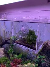 Caja de aislamiento para acuario, recipiente pequeño para freír, acrílico transparente, rejilla doble, suministros para acuario