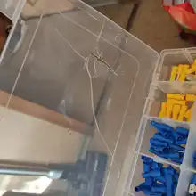 Surtido de terminales de pala, conector de Cable aislado, Cable eléctrico, engarce, anillo a tope, juego de horquilla, Kit de anillo, 480/300/280 Uds.