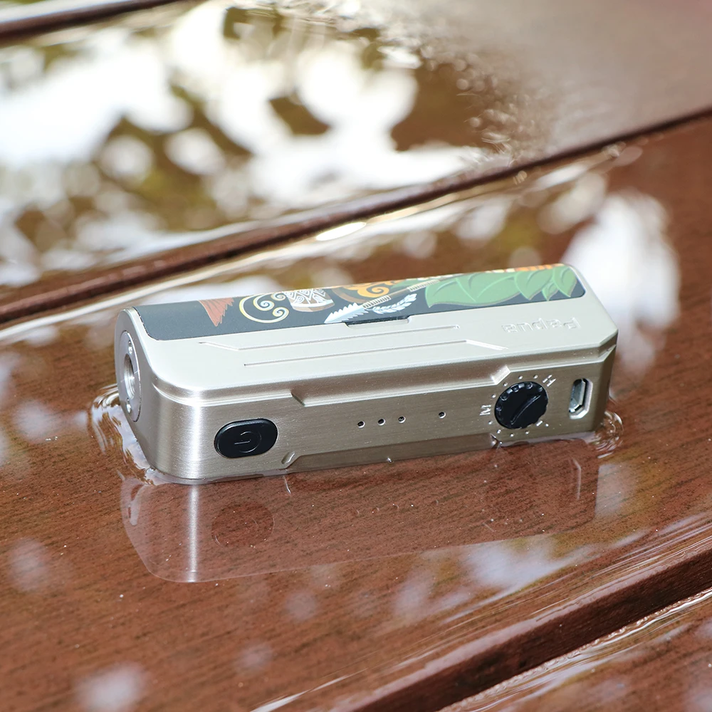 Hippovape Papua 100 Вт VW Box MOD Power by 18650/20700/21700 аккумулятор и водонепроницаемый чипсет vs Kudos/GEN