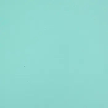 

Eva-1010 foamiran, 20*30 cm, 1mm, pack/10 PCs., 'Astra' (bk018 mint)