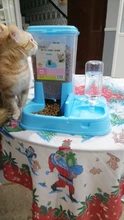 pets Automatic water Feeder for Cat Dog Drinking Bowl Pet Food Dispenser Bottle Practical
