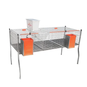 

Gomez and Crespo. AURIA 3 polyvalent rabbit cage with 1 floor and 2 departments. Drinking bottle to choose from
