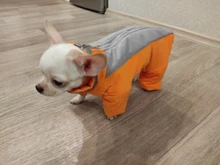 Winter Overalls for Dogs Warm Waterproof Pet Jumpsuit Trousers Male/ Female Dog Reflective