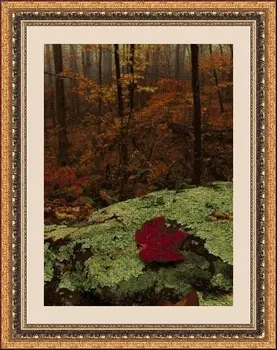 

CROSS STITCH KIT PANDATHREAD NOVELTIES 34706