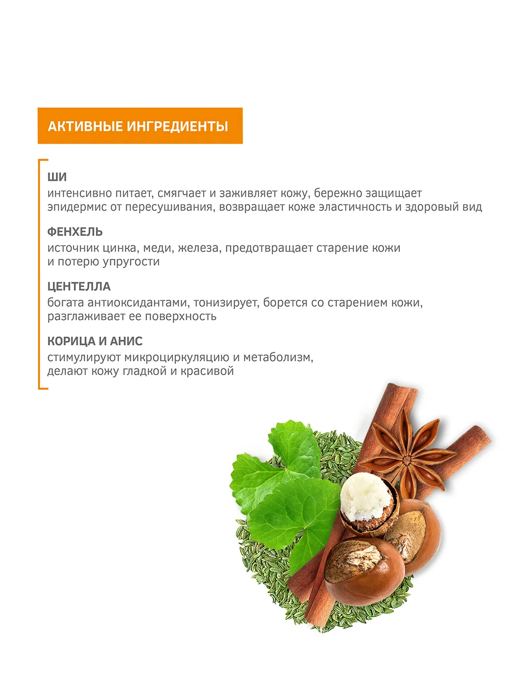 ZN4033 Ultra-rich body butter _Maghrebian spices_ - anti-aging care and aromatherapy 200 ml 5