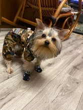 Puppy-Boots Pet-Shoes Lovely Dogs Snow Anti-Slip Zipper Winter Warm Denim Lets Casual