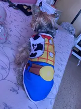 Lovely Fake Strap Cheap Pet Clothes For Dogs Summer Breathable Mesh Dog Clothes For Small