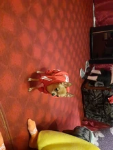 Costume Pet-Jumpsuit Puppy-Outfit Dogs French Bulldog Chihuahua Medium Pug-Pets Small