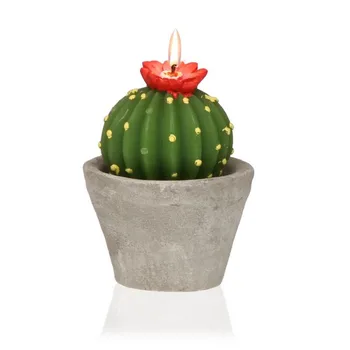 

Candle Paraffin Cactus