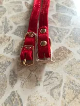 Collar de gato flocado para gatitos y mascotas, suministros