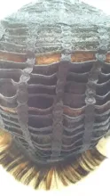 Blice-Peluca de pelo sintético para mujer, postizo de onda corta Natural, Color mezclado, resistente al calor, Kanekalon Peluca de P1B/30 pelucas para uso diario, envío gratis