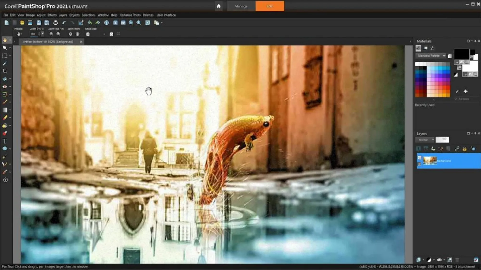 Corel PaintShop Pro 2021 Ultimate Photo editing software Full Version Multilingual Lifetime Activation for Windows