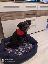 Coat Jacket Pet-Padded-Vest Dogs Zipper Pug Warm Small Para Waterproof Chihuahua Winter