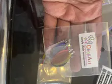 OlingArt plumas naturales 10 Uds plumas de colores 3,5 cm mujeres gargantilla collar de la joyería haciendo correas para llavero colgantes encantos