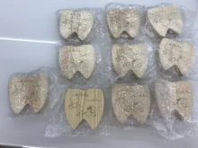 Caja de madera para recuerdos para bebés, organizador para dientes de leche para niños y niñas, griego/español/inglés/ruso/francés/italiano