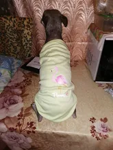 Flamingo patrón suave ropa para mascotas ropa de perro ropa zapatos y accesorios zapatos y ropa de perro chaleco camisa productos para mascotas verano gato chaleco camiseta