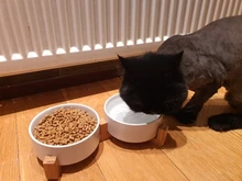 De cerámica tazón de perro gato plato con soporte de madera No derrame de alimentos para mascotas alimentador de agua gatos perros pequeños perros Pet
