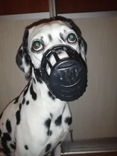 Bozal ajustable para perros de compañía, 7 tamaños, cesta de plástico resistente, diseño antimordedura, máscara bucal para perros y gatos 35, 1 Uds.