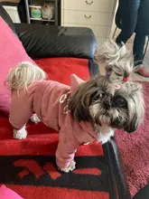 Coat Jumpsuit Clothing Puppy-Fleece Hoodie Apparel Pet-Dog Winter New Warm Velvet