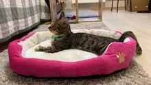 Mats Blanket Cushion Bed-House Sofa Pet-Beds Dog Animal Cute Basket-Supplies Cat Big
