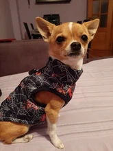 Ropa de invierno para mascotas, atuendo con chaleco cálido para perros pequeños, abrigo para perro, Chihuahua acolchado, a prueba de viento, 20