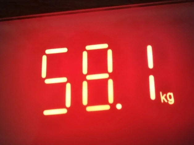 весы gason s4