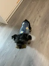 Ropa vaquera de XS-2XL para perro, abrigo para perros, ropa de cachorro, pantalones vaqueros para perro, chaqueta, chaleco abrigo para perro, trajes para cachorro, ropa para gato