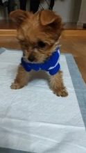 Sweater Bulldog-Outfit Chihuahua-Coat Knitted French Winter Dogs Warm for Small Pug-Clothing
