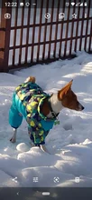 Winter Pet Dog Coat Jacket Thicken Warm Clothes For Dogs Waterproof Reflective Puppy