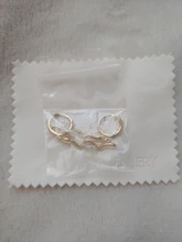ANENJERY-pendientes de aro de Plata de Ley 925 para hombre y mujer, joyería de Animal dorado y plateado, S-E1386