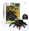 Upgraded 24CM Big Size Electric Remote Control Spider Funny Toys 4CH Eyes Glow Walking Turn Simulation RC Tarantula Spider Toy 6