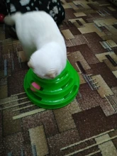 Toy Pet-Toy-Ball Carousel-Ball Track Cat-Supplies Three-Layer-Tower Baby Automatic