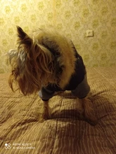 Jumpsuit Dogs Winter New for Jacket Pet-Coat Hooded Warm Thickening