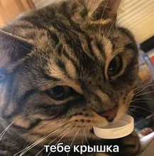 Gaskets Ring Washer Sealing Rubber 100pcs Black OD 9/10/11-/..