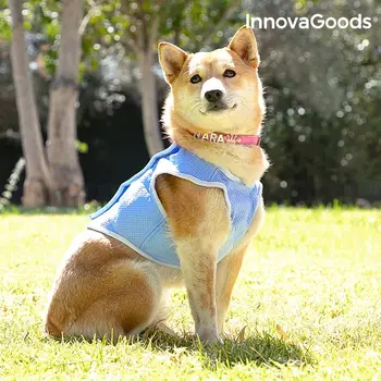 

InnovaGoods Refreshing Pet Vest for Small Pets - S