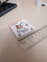 Lost a cat-mini pegatinas decorativas de papelería, conjunto de álbum diario de recortes, palo de etiqueta Kawaii, papelería