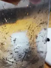 KONLLEN-cojín de fibra de carbono para coche, 3 unidades, 12mm, 142cm, horquilla Radial, Junta profesional, Corea