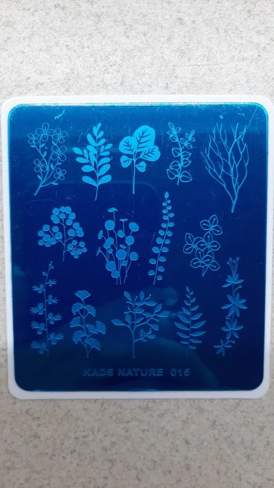 KADS Stamping Plate Nature 015 Leaves Plants Design Image Template Nail Stencil Templates Nail Mold Stencils for Nails reviews №1 264922