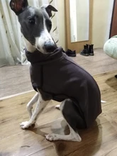 Clothing Pullovers Pet-Coat Pitbull Dogs High-Collar Winter Mascotas Large Medium Big